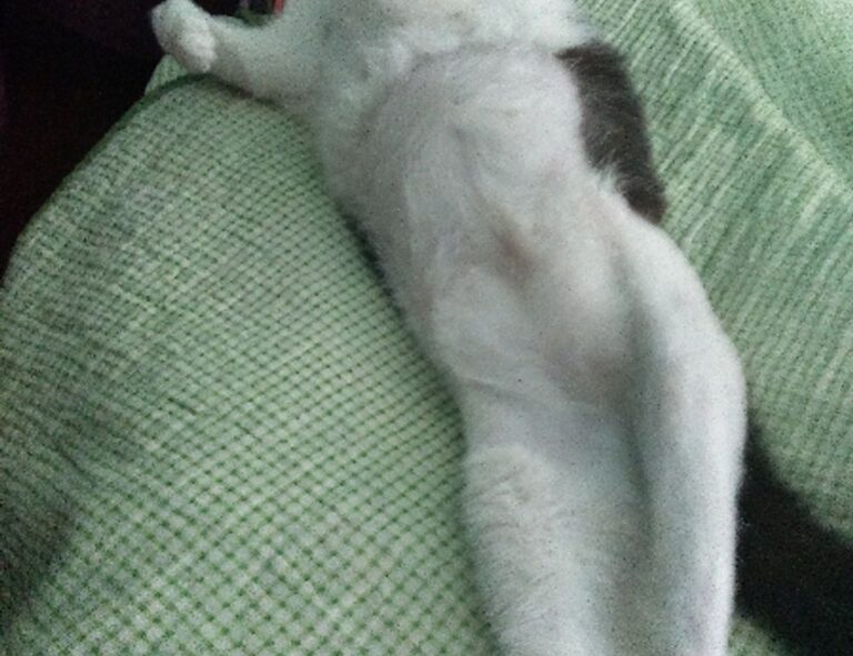 cbd advice tweeklynutrition