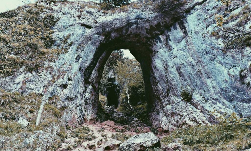 entrepreneurial sisterhood ewmagwork