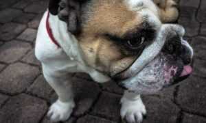 ewmagwork activism power from emergewomanmagazine