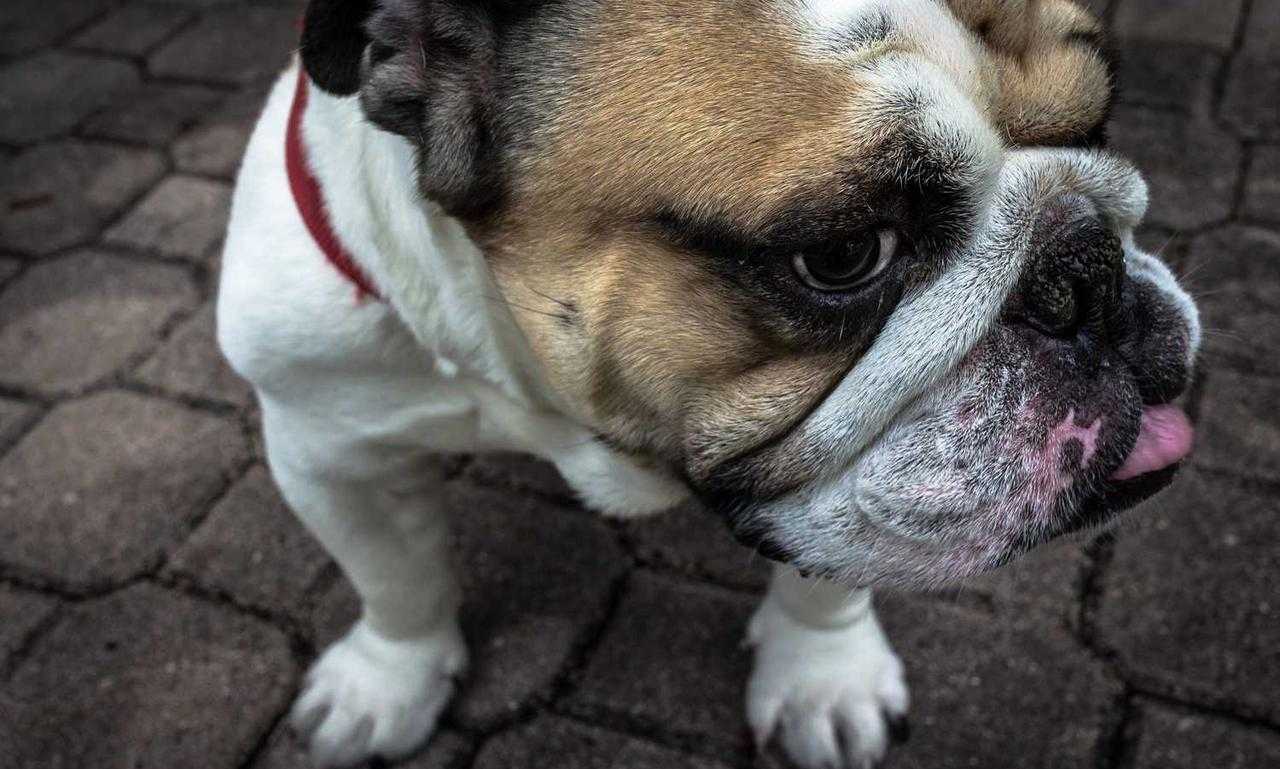 ewmagwork activism power from emergewomanmagazine