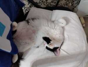 ewmagwork management guide