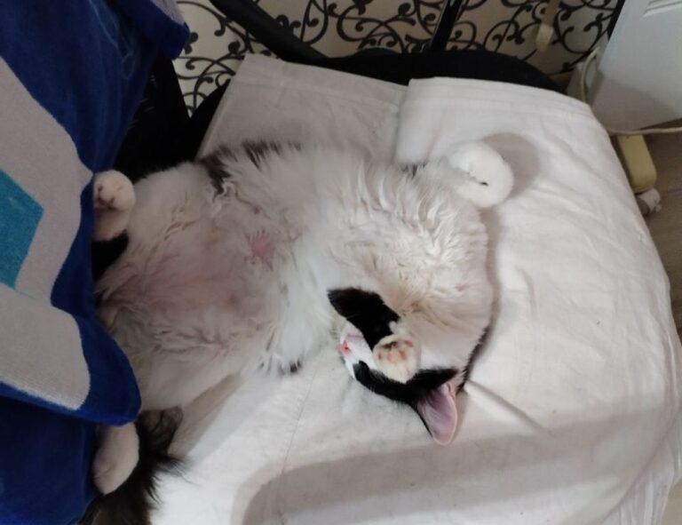 ewmagwork management guide