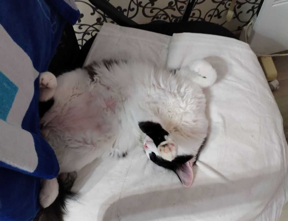 ewmagwork management guide