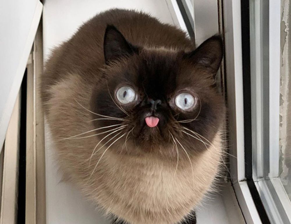 fitness meal hacks tweeklynutrition