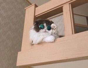 health advisory ontpwellness