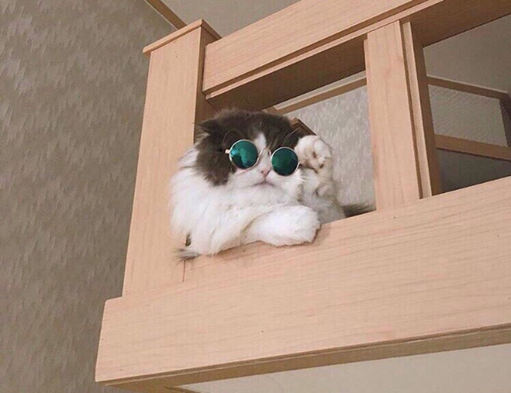 health advisory ontpwellness