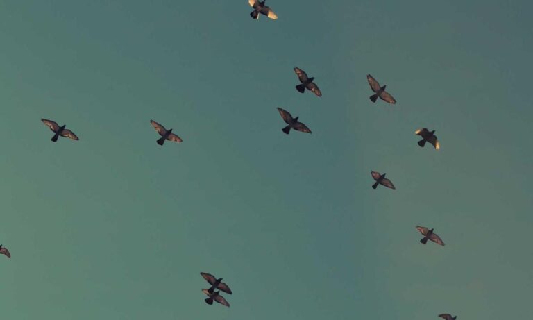 how medicine affects the body shmgmedicine