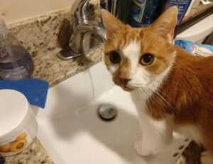 how to find the right selfstorage unit ewmagwork