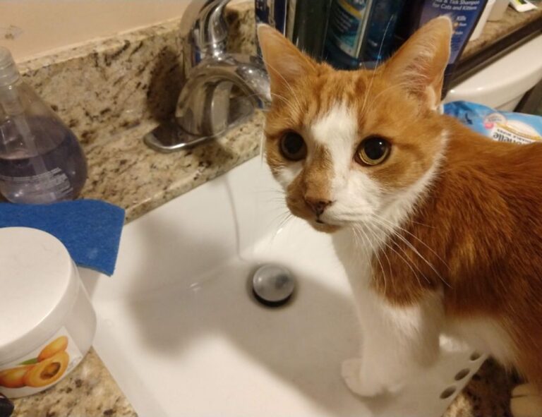 how to find the right selfstorage unit ewmagwork