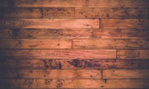 how to save bikimsum