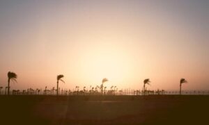 how zillexit software can be stored safely