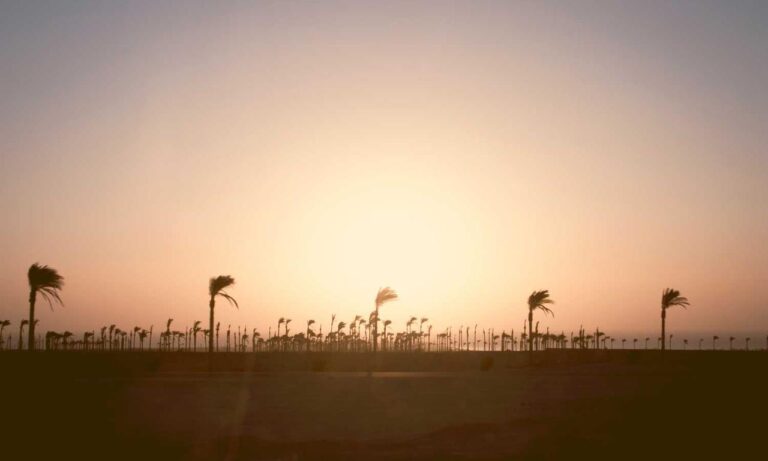 how zillexit software can be stored safely