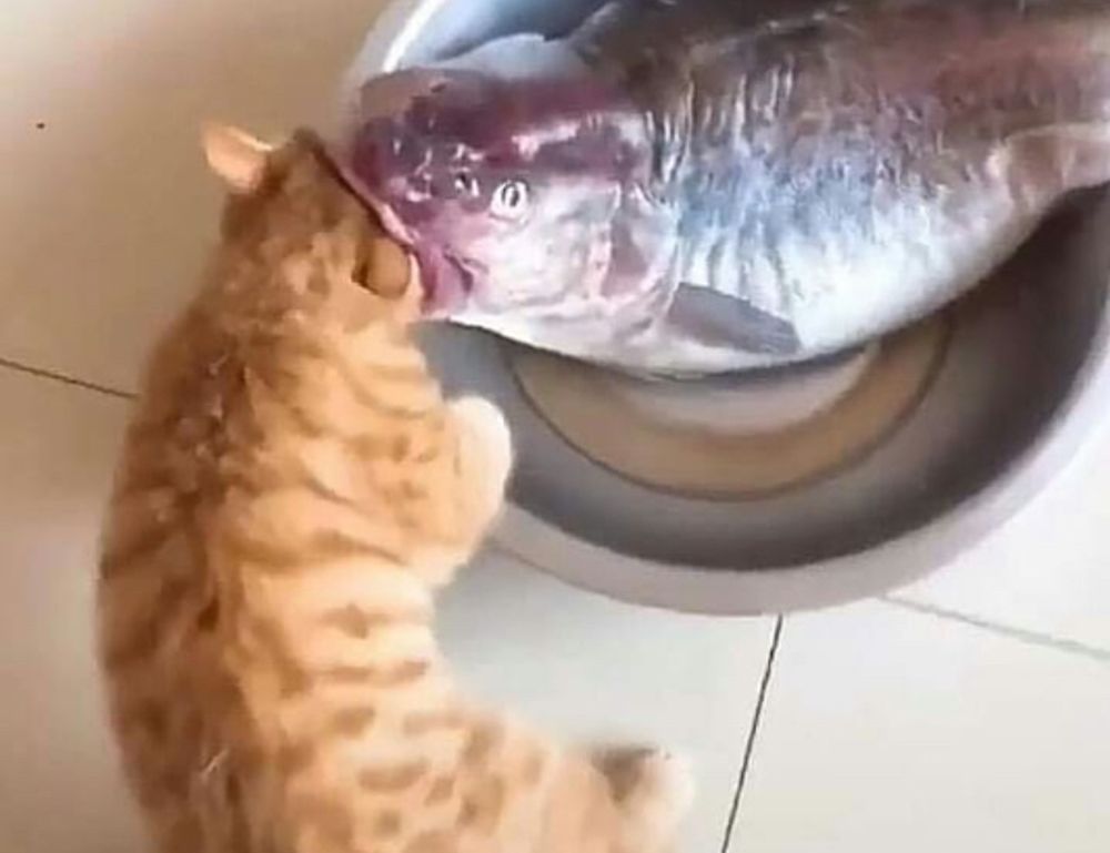 important facts about medicine shmgmedicine