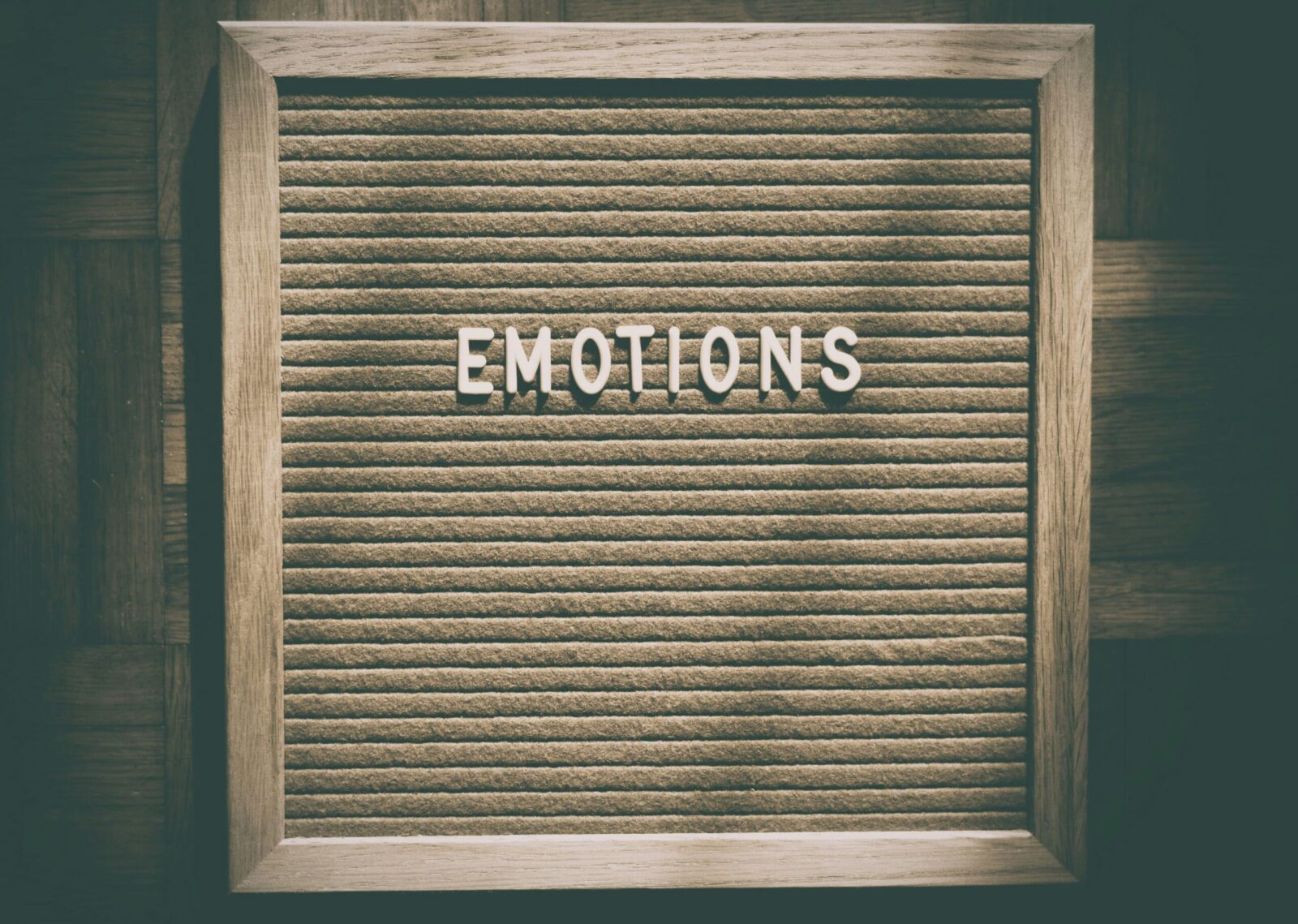gut and emotions