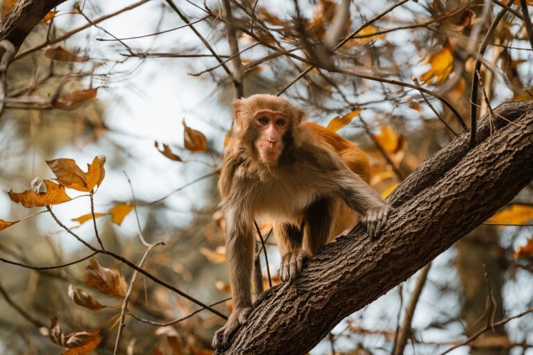 ontpwellness health guide from ontpress