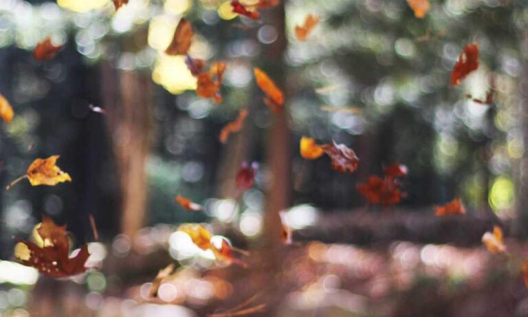 physical condition twspoonfitness