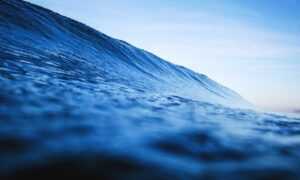 shmgdiet diet hacks from springhillmedgroup