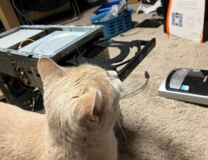 shmgmedicine medicine facts by springhillmedgroup