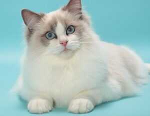 sisterhood activism ewmagwork