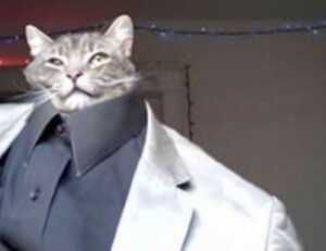 software dowsstrike2045 python update