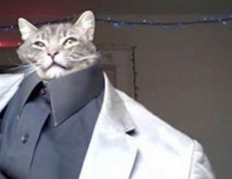 software dowsstrike2045 python update