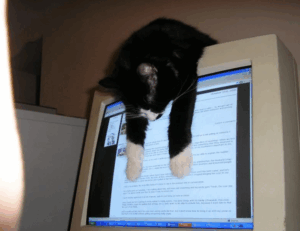 update winobit3.4 python