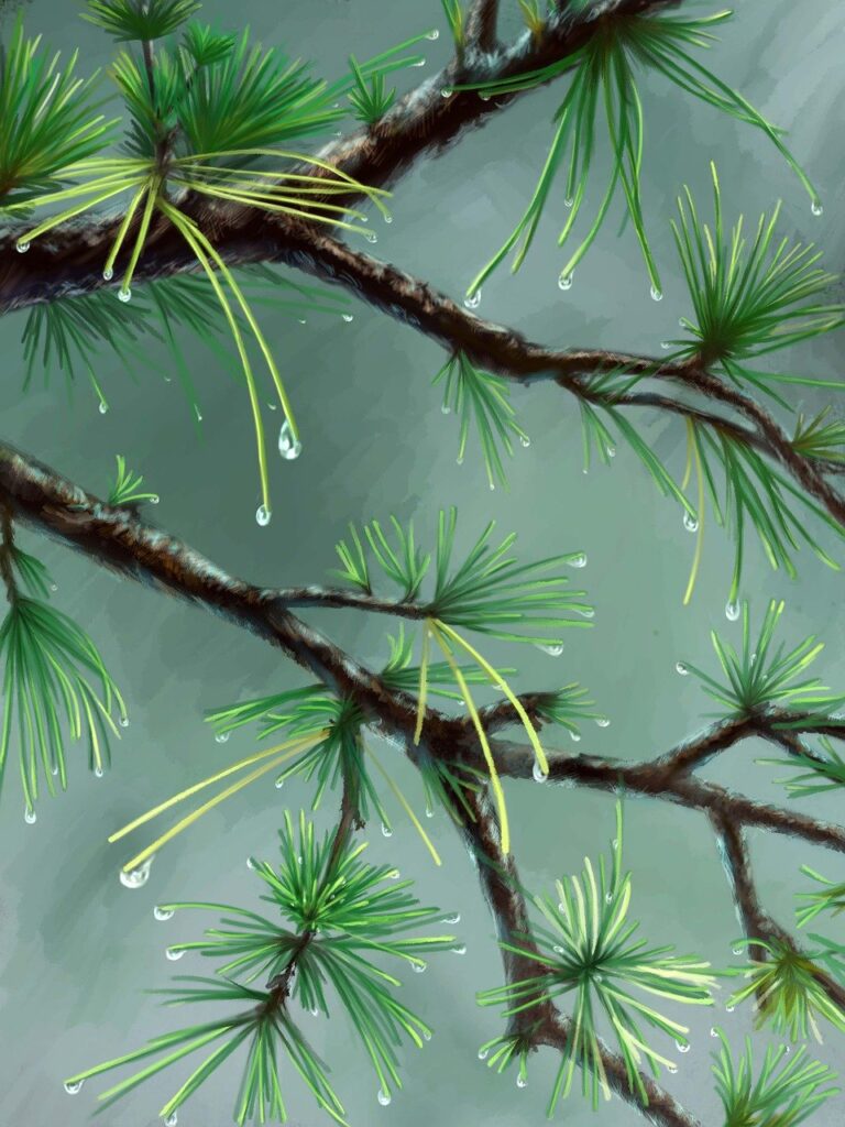 what is fasting fntkdiet