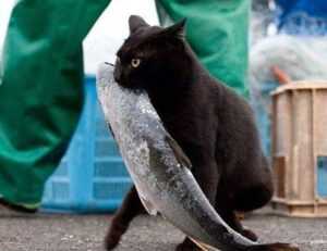 what is pilates workout ewmagwork