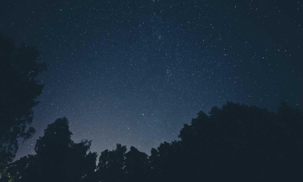 what medicine for cancer shmgmedicine