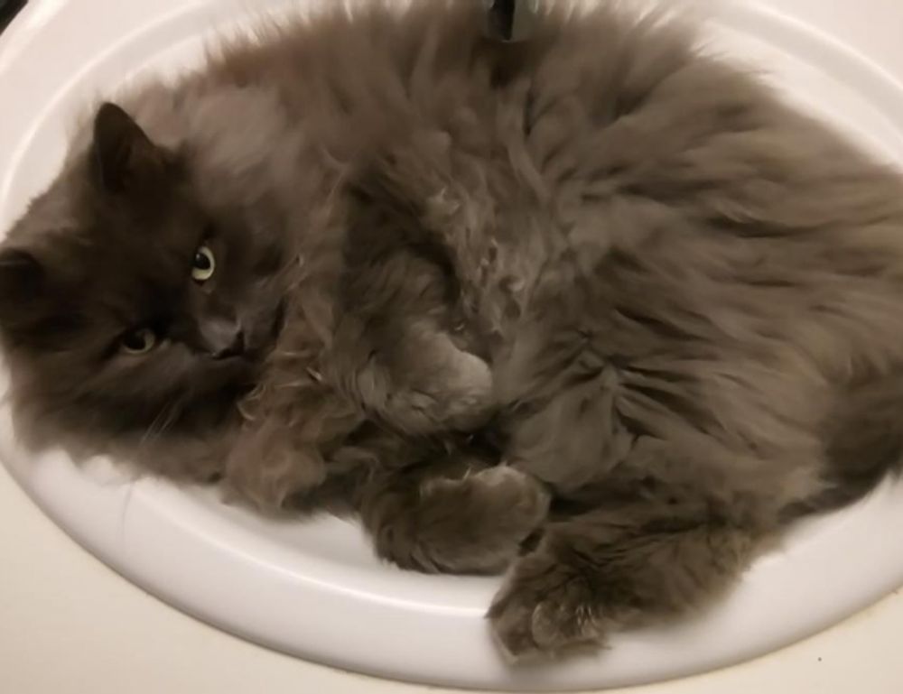 why are nuts bad for tadicurange disease