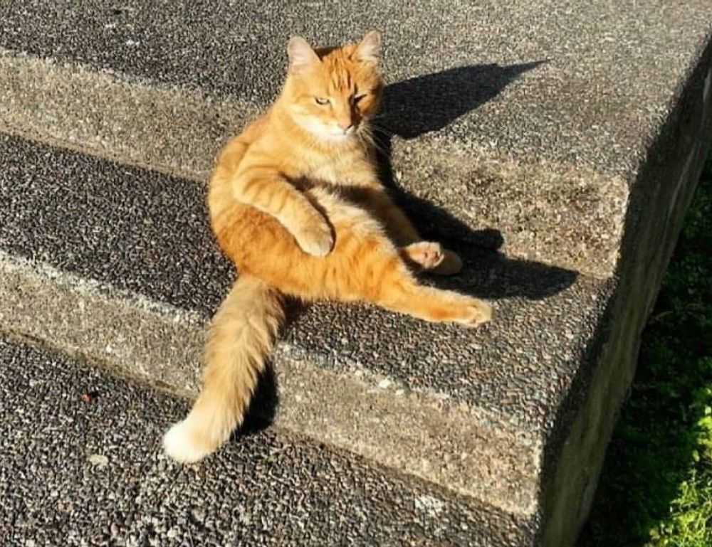 workplace guide ewmagwork