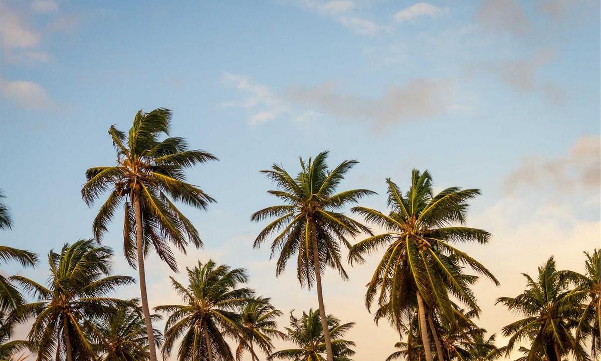 social discrimination