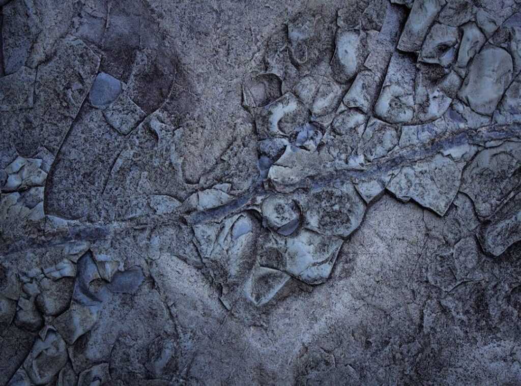 Can I Catch Pavatalgia