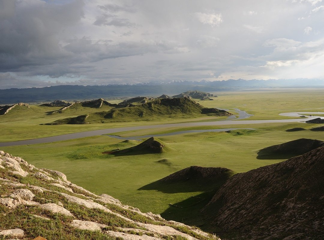 How to Watch and Enjoy Palestinian Anime