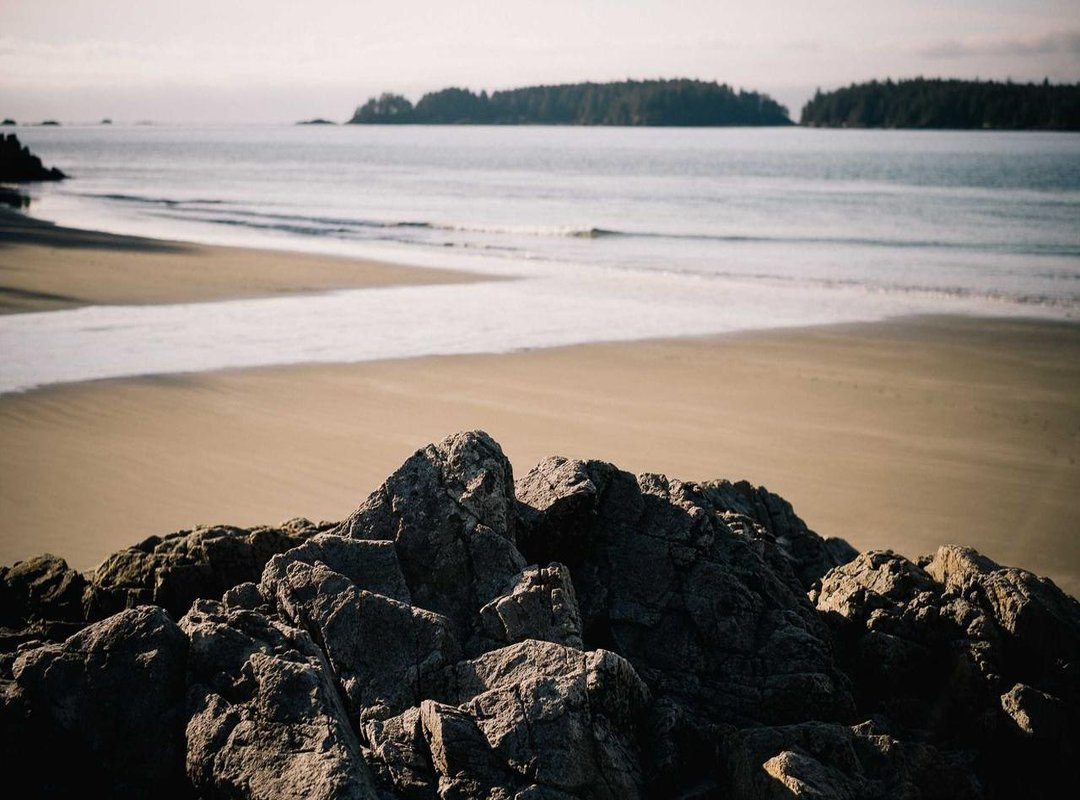 Your First Brawler: A Step-by-Step Guide to Drawing Shelly