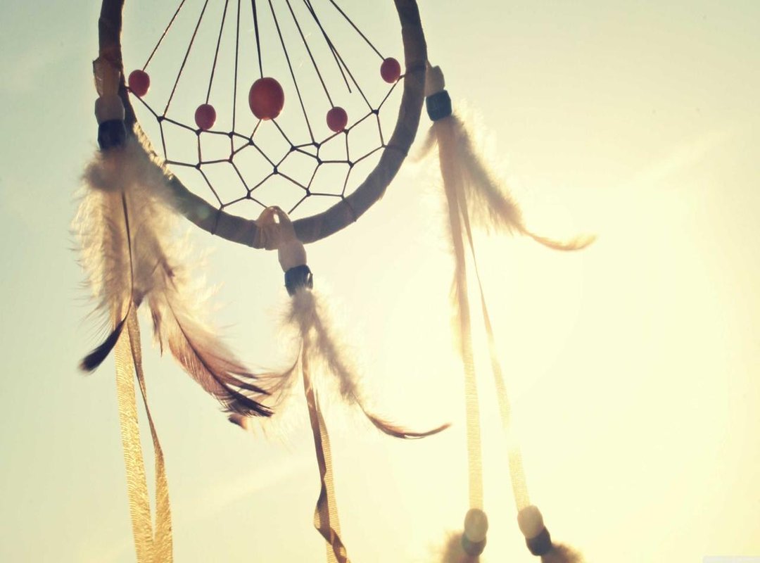 Beyond Racetams: Top Natural Nootropic Alternatives