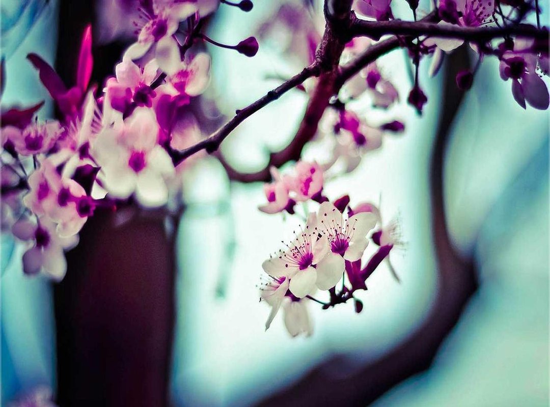 Your First 5 Minutes: A Javauick Quick Start Guide