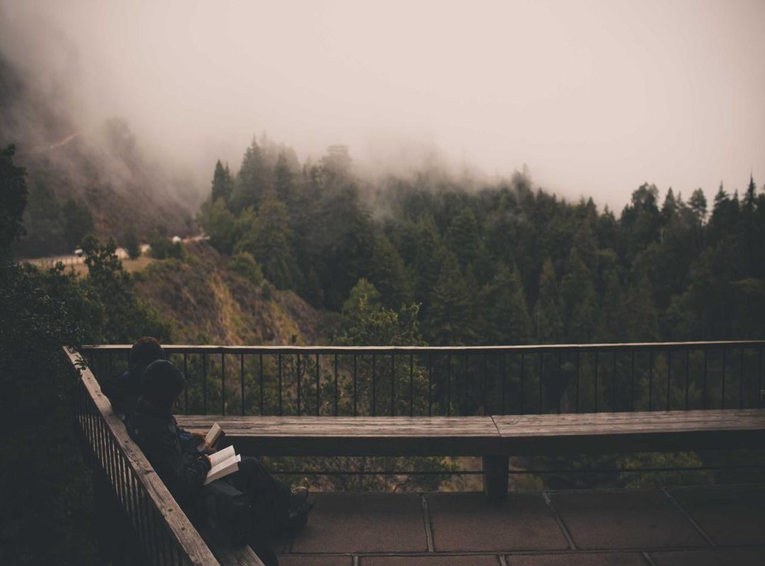 Real-World Scenarios: Examples in the Workplace and Online