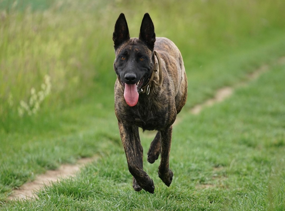 A Quick Checklist for Staying Safe on Bigo